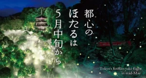 ホテル椿山荘東京で蛍が舞う「ほたるの夕べ」開催！GWの100旒の鯉のぼりや限定ビュッフェも