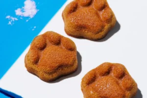 KOKUNEKOから肉球型が可愛い「コクウマソルティフィナンシェ」が期間限定で登場！沖縄・雪塩のあまじょっぱい誘惑