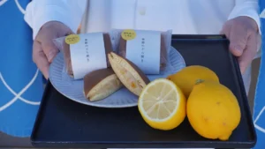 夏に食べたい！四角い塩どら焼き専門店「湯ノ塩」から爽やかな「塩レモンはちみつ」が期間限定で登場