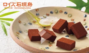 【ロイズ石垣島】沖縄県産きび糖のコクにうっとり！限定の生チョコ＆ピュアチョコが新発売