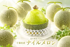 糖度17度の衝撃！お菓子のたいよう「メロンボート」が3日間限定で登場。幻のナイルメロンを丸ごと贅沢に