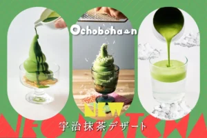 抹茶好き必見!新宿「ochobohan」で京都・藤井茶園の茶葉を贅沢に使った“オール抹茶”プレートが解禁